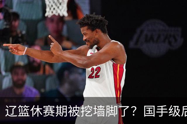 辽篮休赛期被挖墙脚了？国手级后卫恐被交易：变相逼着赵继伟走人